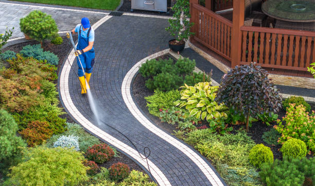 Best Deck Cleaning Services  in St Johns, AZ