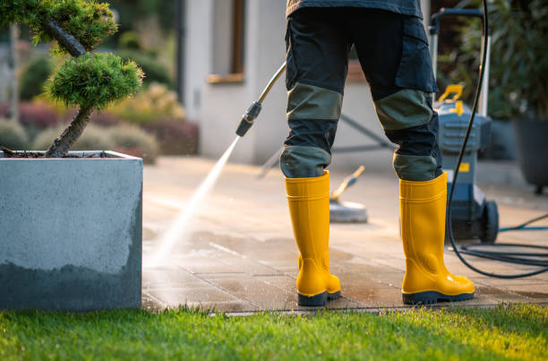 Best Concrete Pressure Washing  in St Johns, AZ